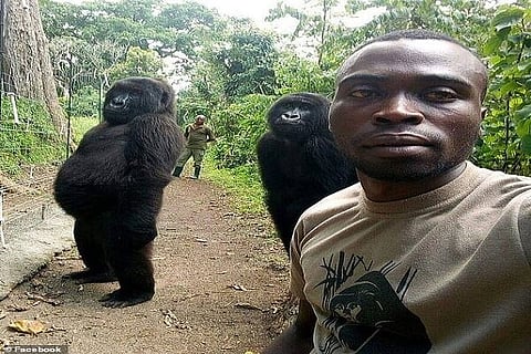 congo rangers selfie