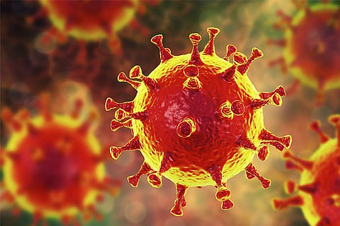 corona new