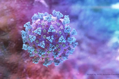 corona virus