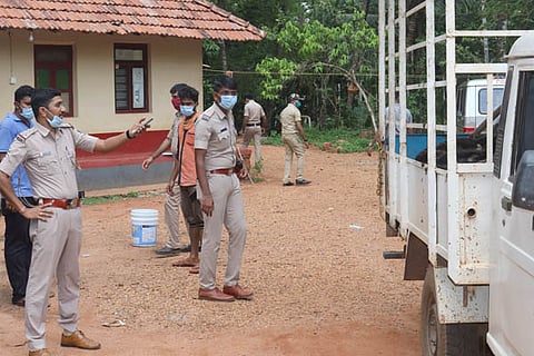cow theft new