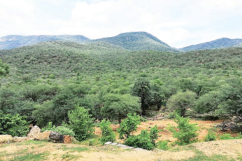 gopinatham
