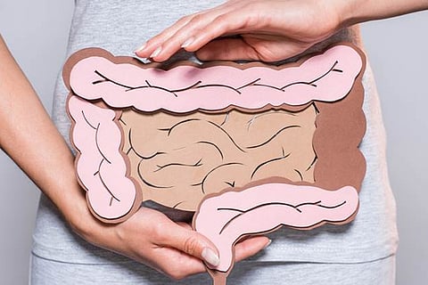 intestine