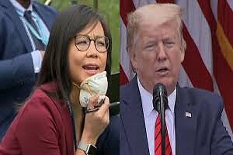 jiang and trump