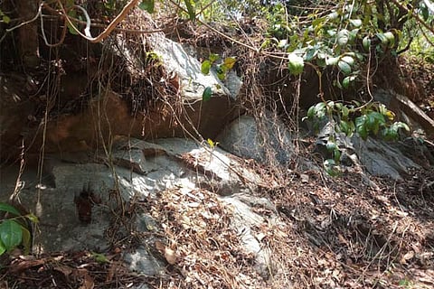 kallu
