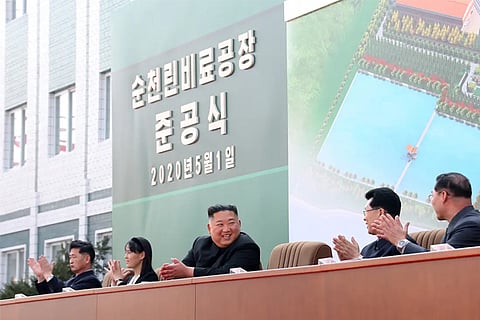 kim 6