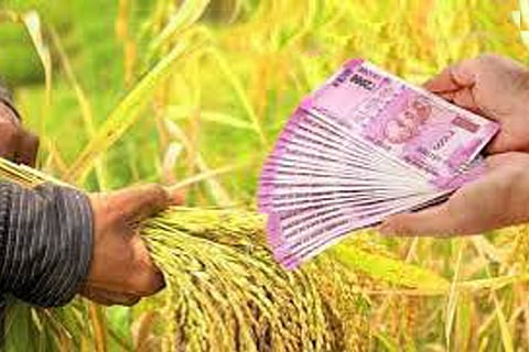kisan loan-web