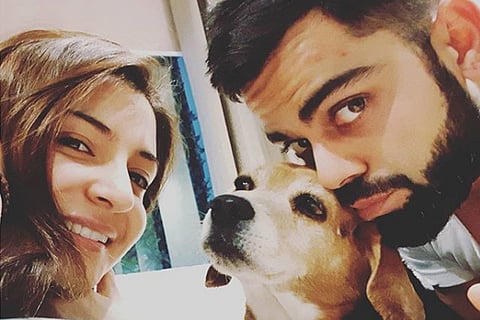 kohli pet