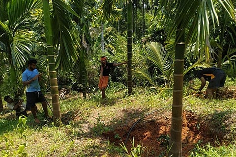 krishi new