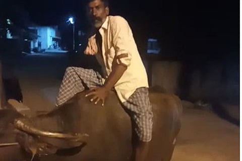 mandya photo