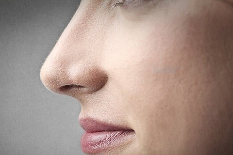 nose