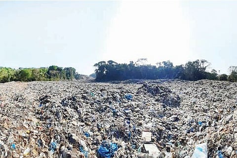 pachanadi
