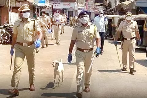 police adu-web