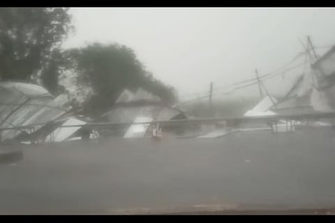 rain-toll