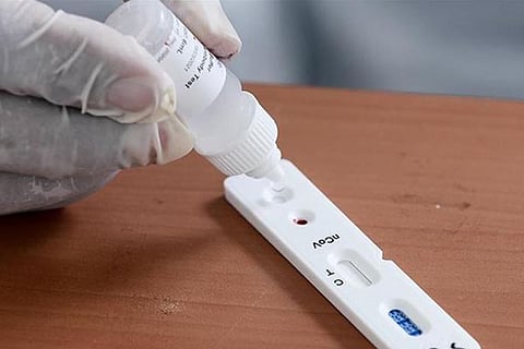 rapid test new