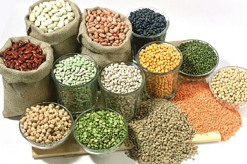 seed