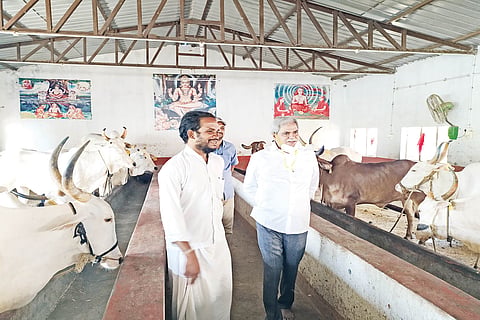 shahpaur