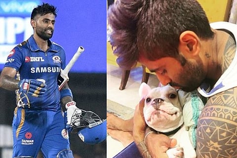 surya kumar yadav pet