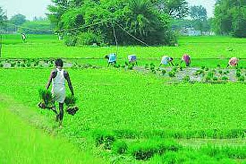 telangana