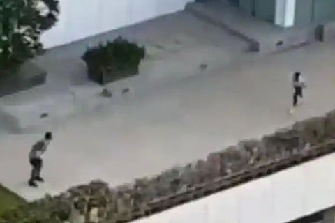virat