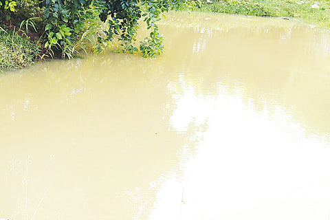 01 Nela ph 01 Water Drinage