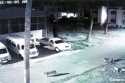 13 CRP 02