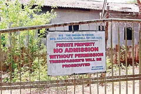 13dnd1- ipm vishesh varadi