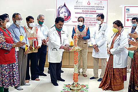 15 Jaggu 2-Web