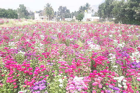20200418_090057