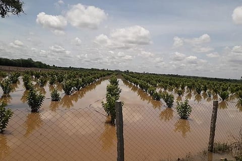 26Sambargi2-Web