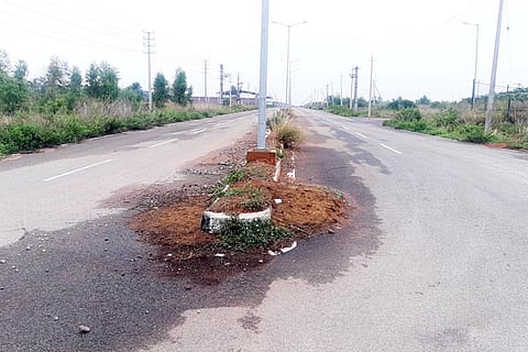 30-dabasapete-01