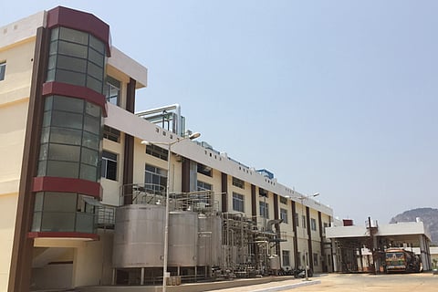 9CBP2(megadairy) (1)