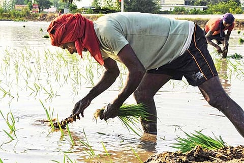 Agri