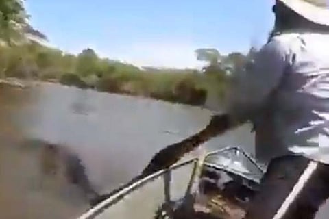 Anakonda