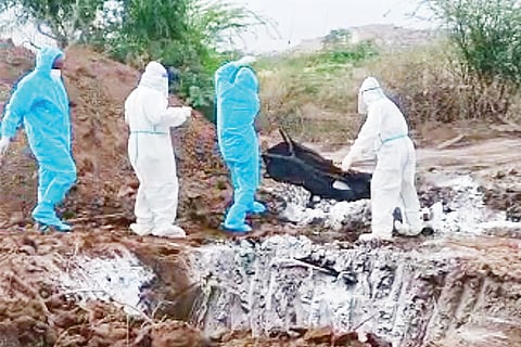 Coronavirus