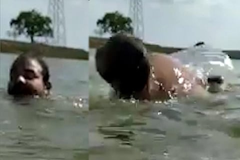 Crocodile Attack