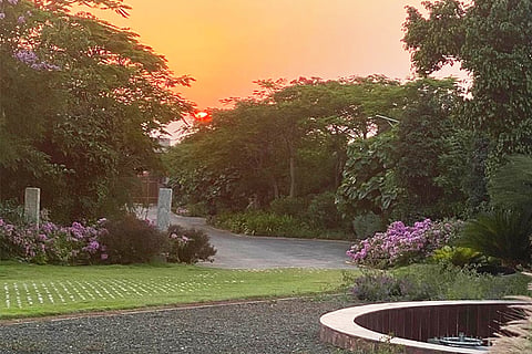 Dhoni Farm House Final