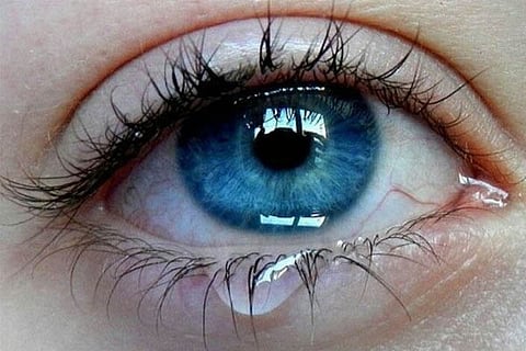 Eye