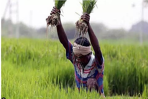 Farmer JPG