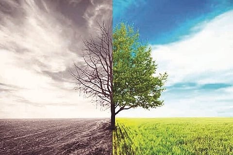 Life and Death