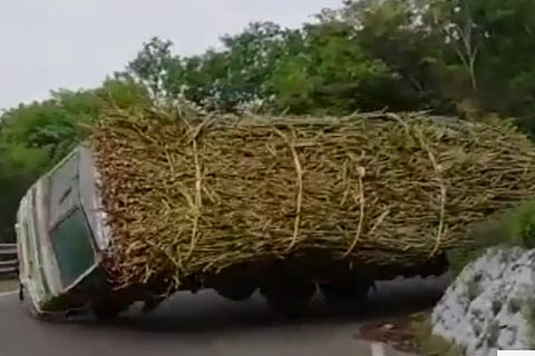 Lorry