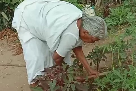 Nanjammal JPG