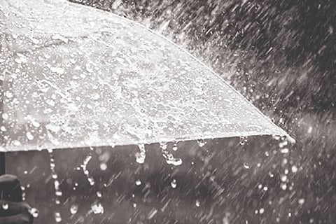 Rain