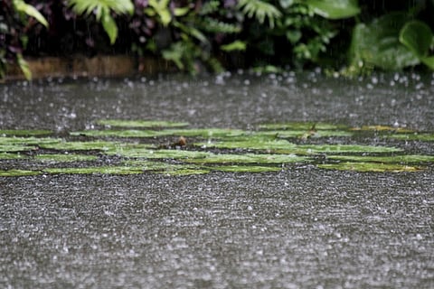 Rain june 5 2020