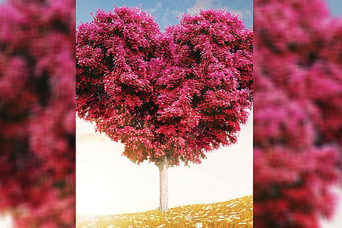 Sadguru 11 June 20