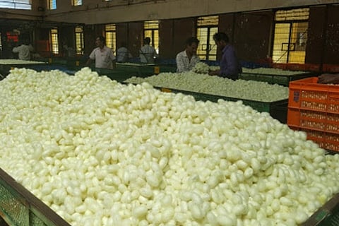 Silk market