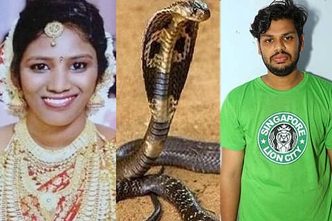 Snake Bite