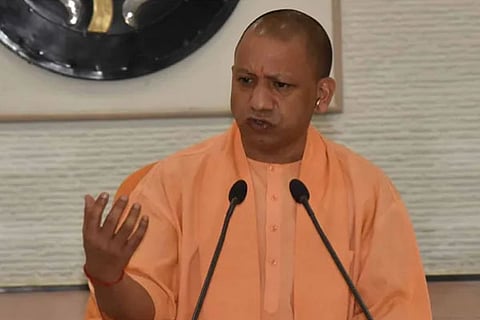 Yogi JPG
