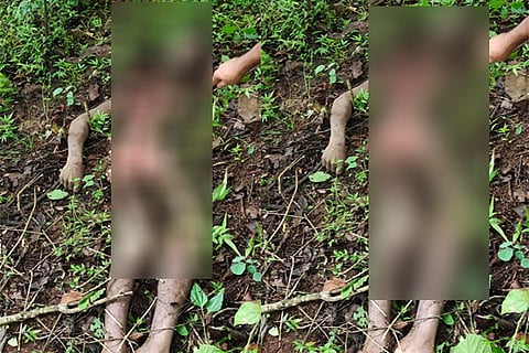 Youth Dead body