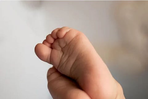 baby jpg