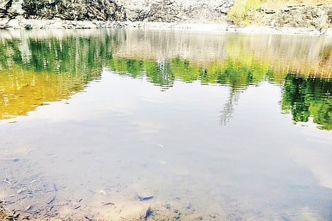 bagwadi